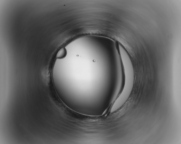 X0000093220160200710171406