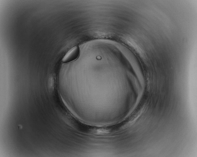 X0000093220165200710171406