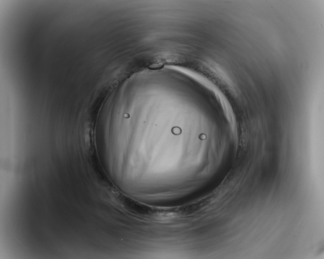 X0000093220169200710171406