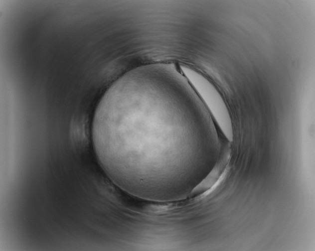 X0000093220170200710171406