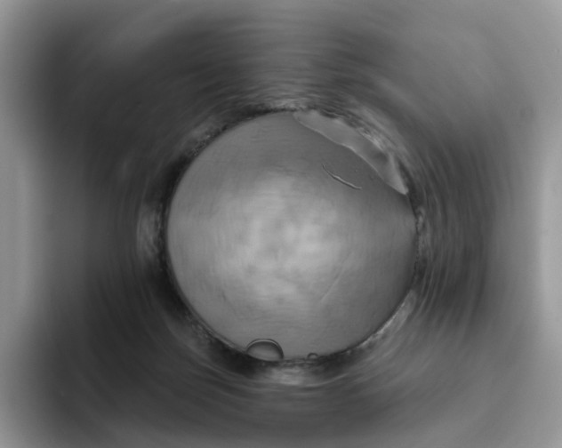 X0000093220171200710171406