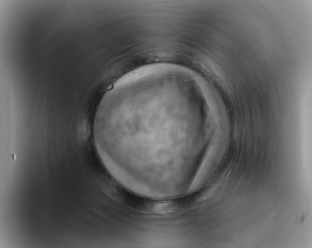 X0000093220173200710171406