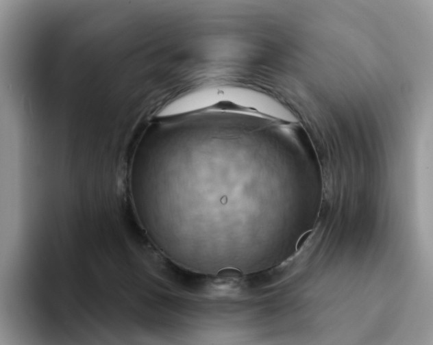 X0000093220175200710171406