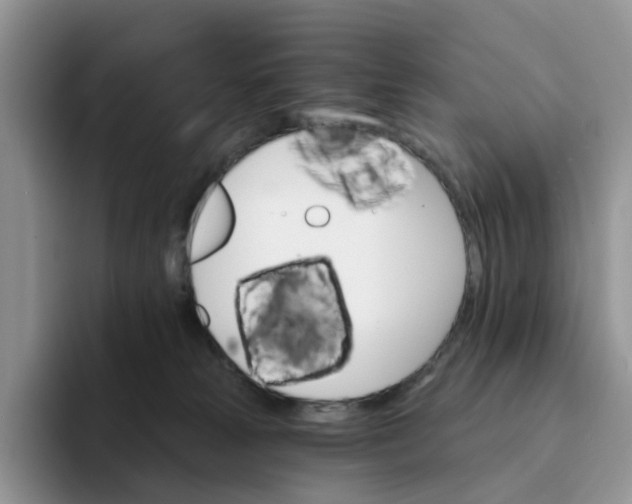 X0000093220181200710171406