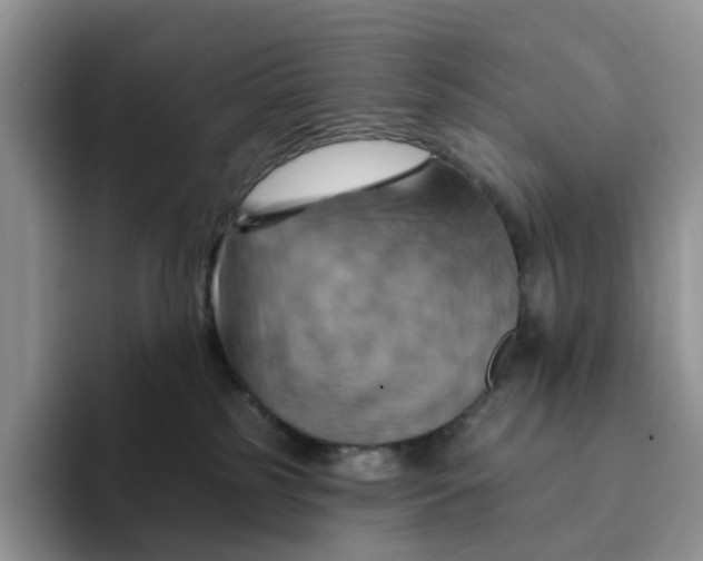 X0000093220185200710171406