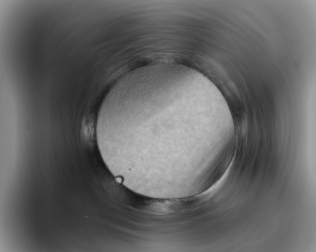 X0000093220190200710171406