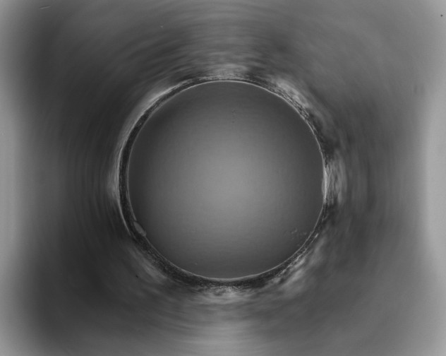 X0000093220195200710171406