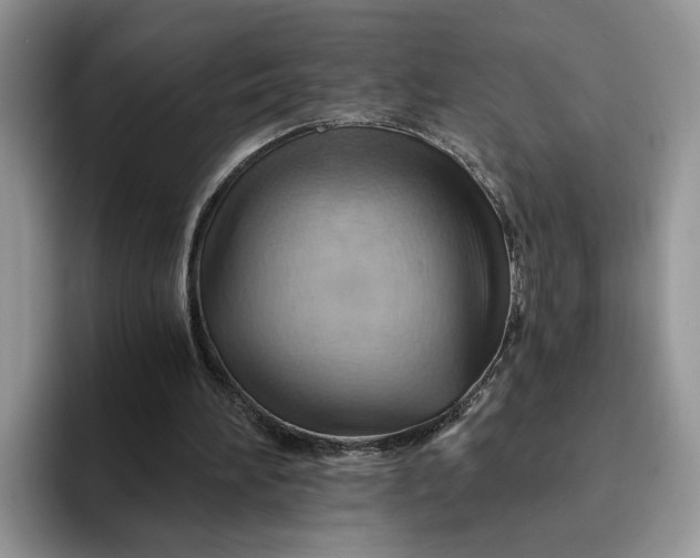 X0000093220196200710171406