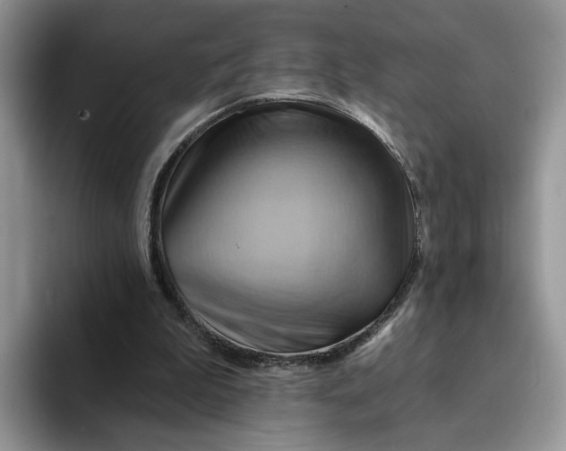 X0000093220199200710171406