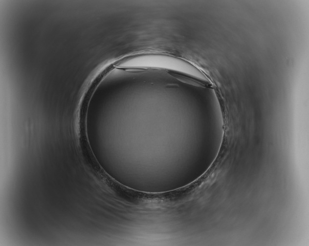 X0000093220200200710171406