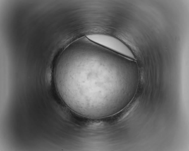 X0000093220206200710171406