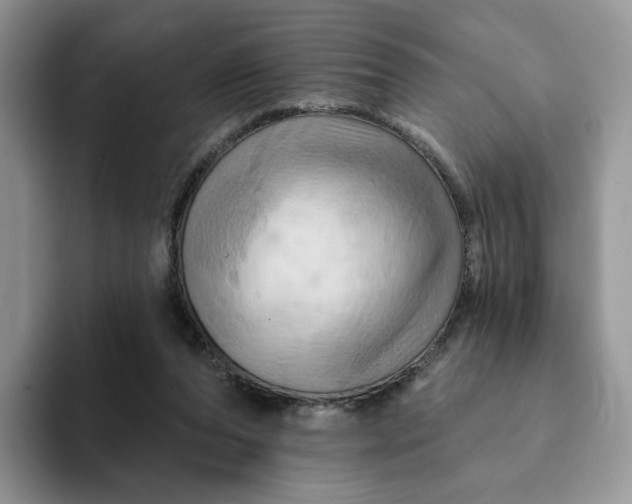 X0000093220208200710171405