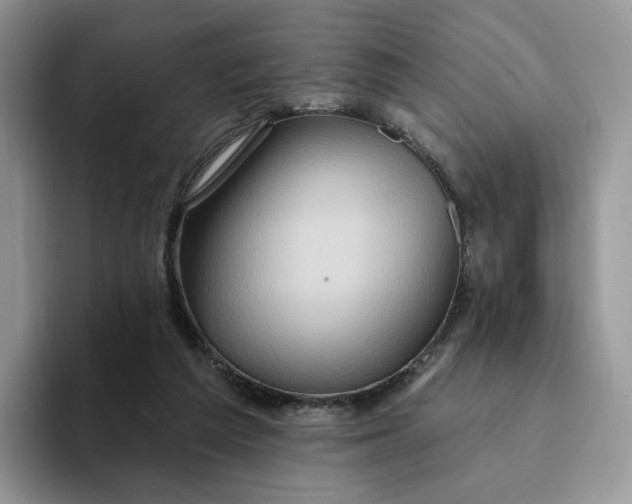 X0000093220209200710171405