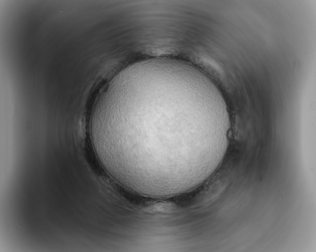 X0000093220210200710171405