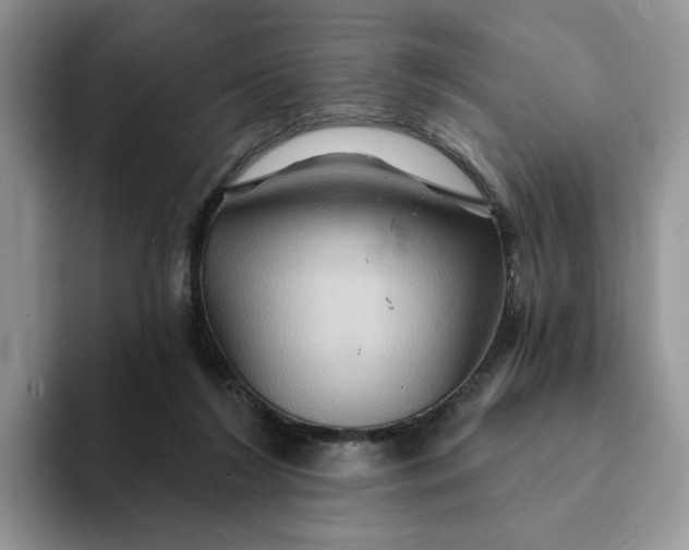 X0000093220212200710171405