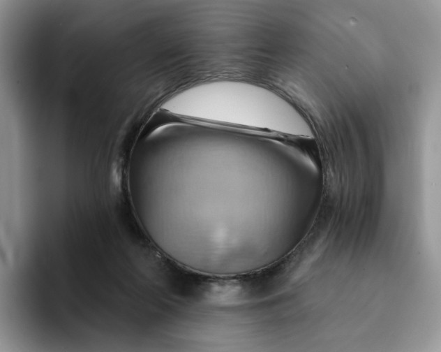 X0000093220214200710171405