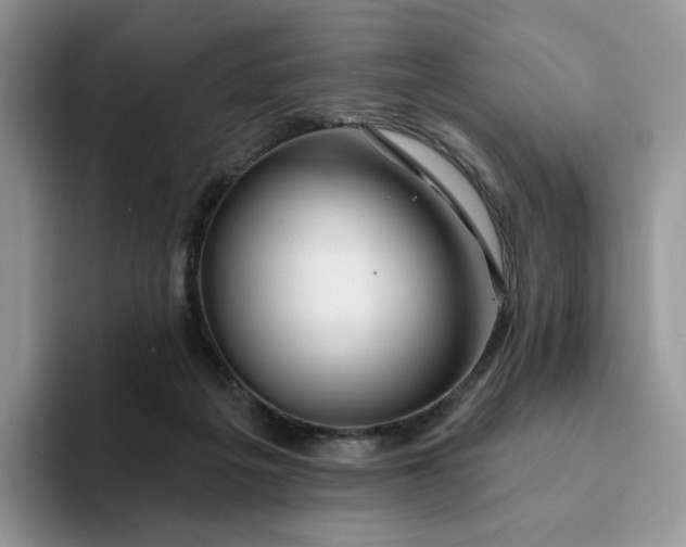 X0000093220217200710171405