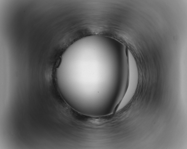 X0000093220221200710171405