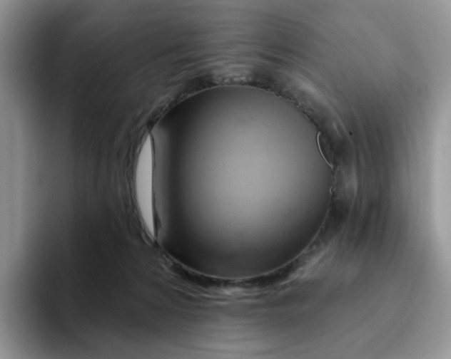 X0000093220224200710171405