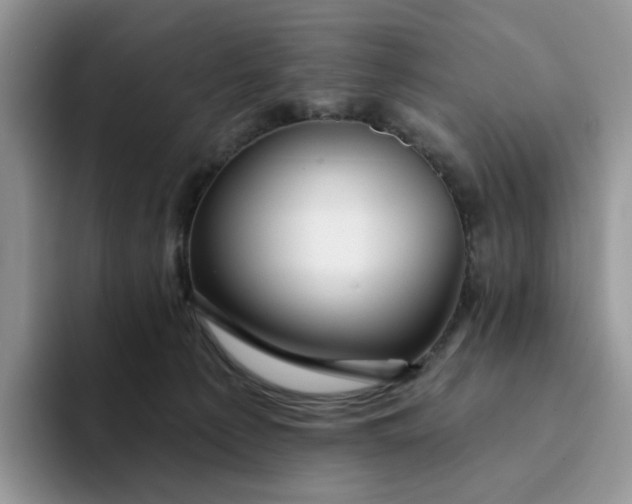 X0000093220225200710171405