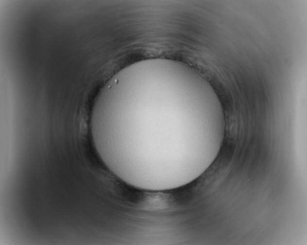 X0000093220226200710171405