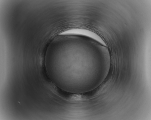 X0000093220227200710171405