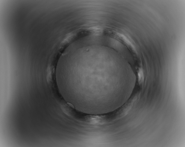 X0000093220229200710171405