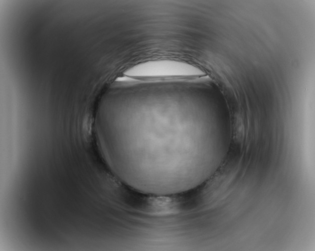 X0000093220230200710171405