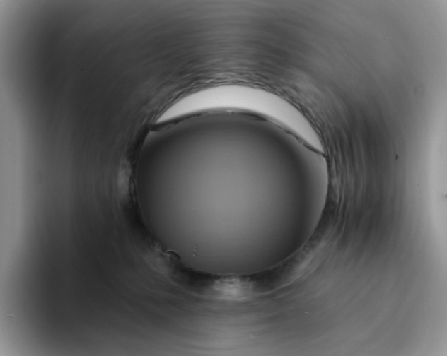 X0000093220231200710171405