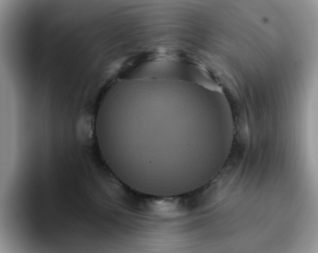 X0000093220232200710171405