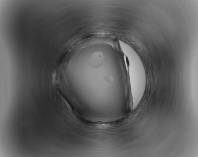 X0000093220233200710171405