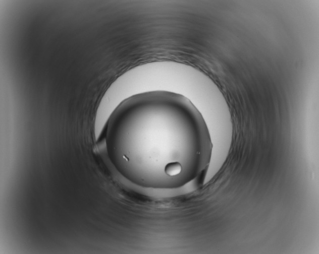 X0000093220235200710171405