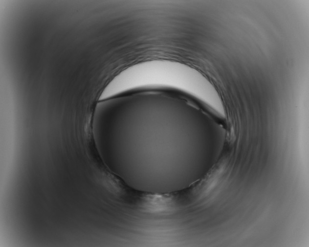 X0000093220239200710171405