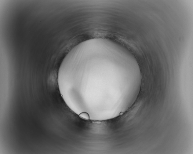 X0000093220240200710171405