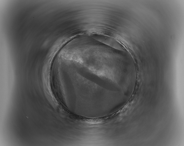 X0000093220241200710171405