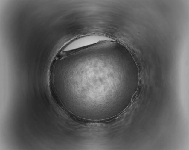 X0000093220242200710171405