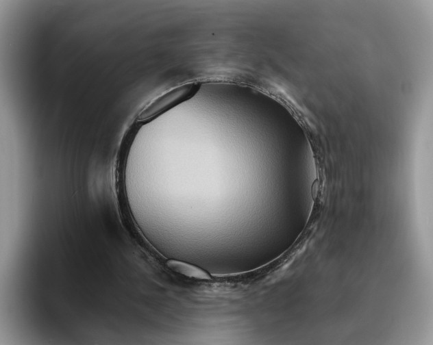 X0000093220244200710171405