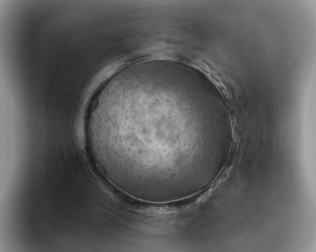 X0000093220245200710171405