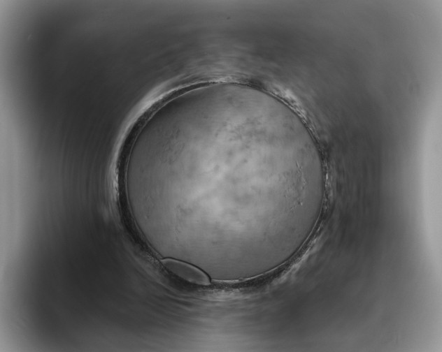 X0000093220246200710171405