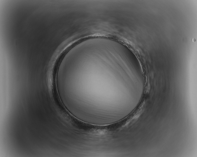 X0000093220247200710171405