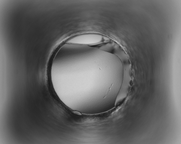 X0000093220248200710171405