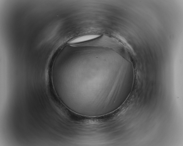 X0000093220250200710171405