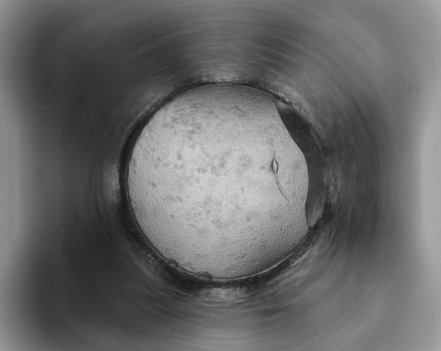 X0000093220251200710171405