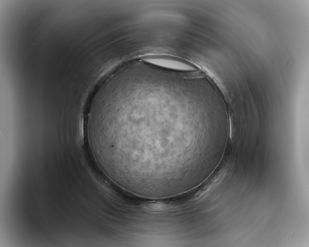 X0000093220253200710171405