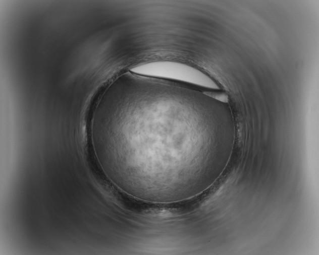 X0000093220254200710171405