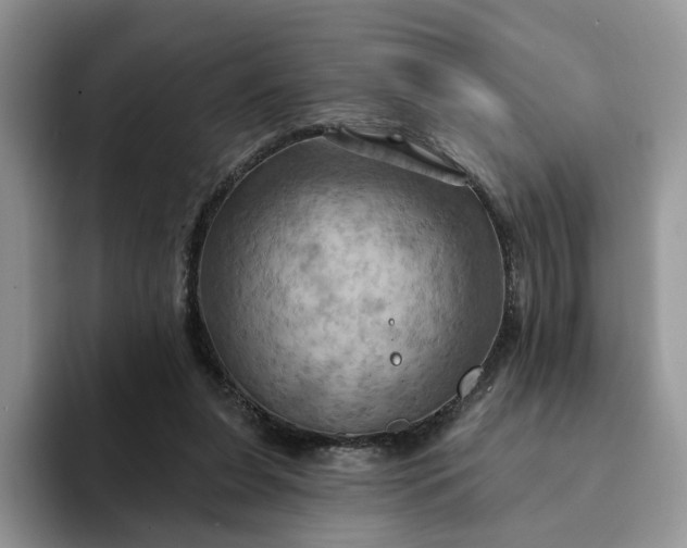 X0000093220255200710171405