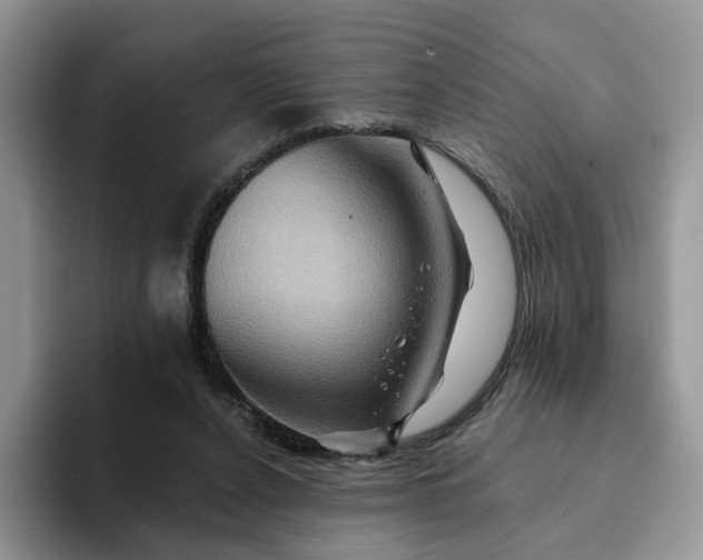 X0000093220256200710171405