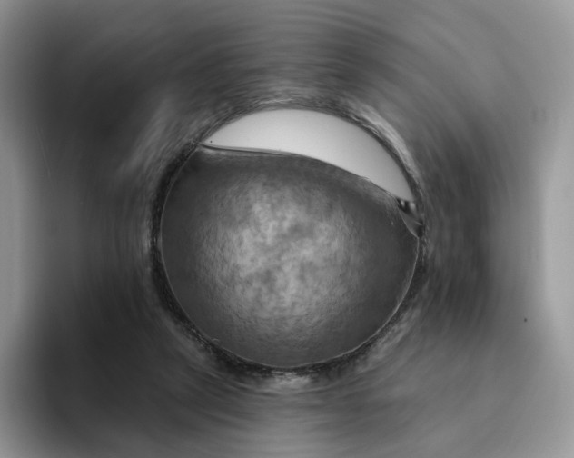 X0000093220257200710171405