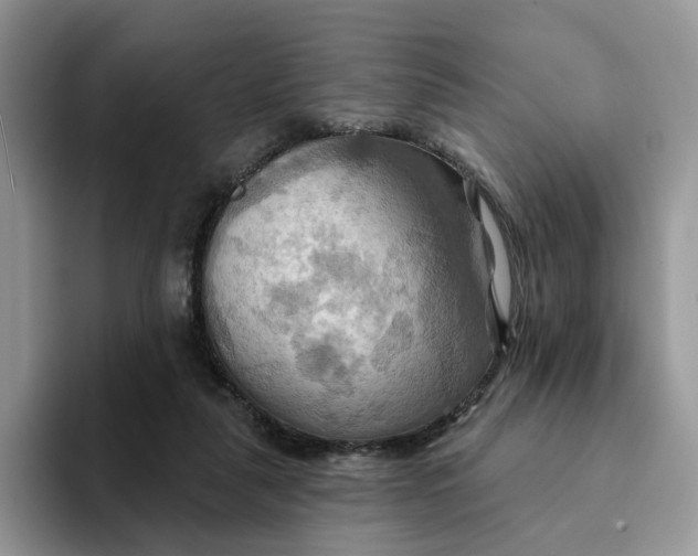 X0000093220259200710171405