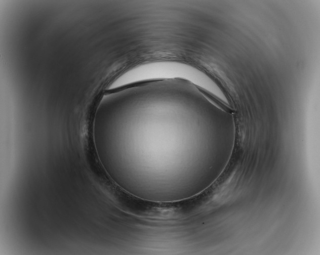 X0000093220260200710171405